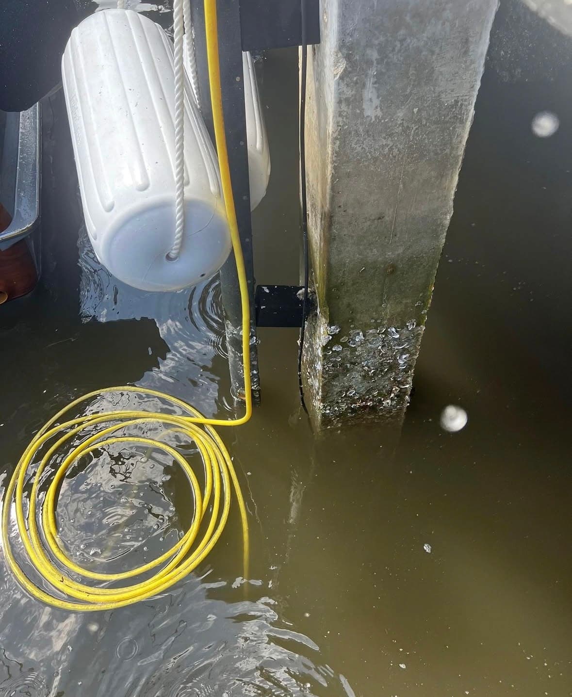 Dock piling after barnacle removal, with a fender and dive hose